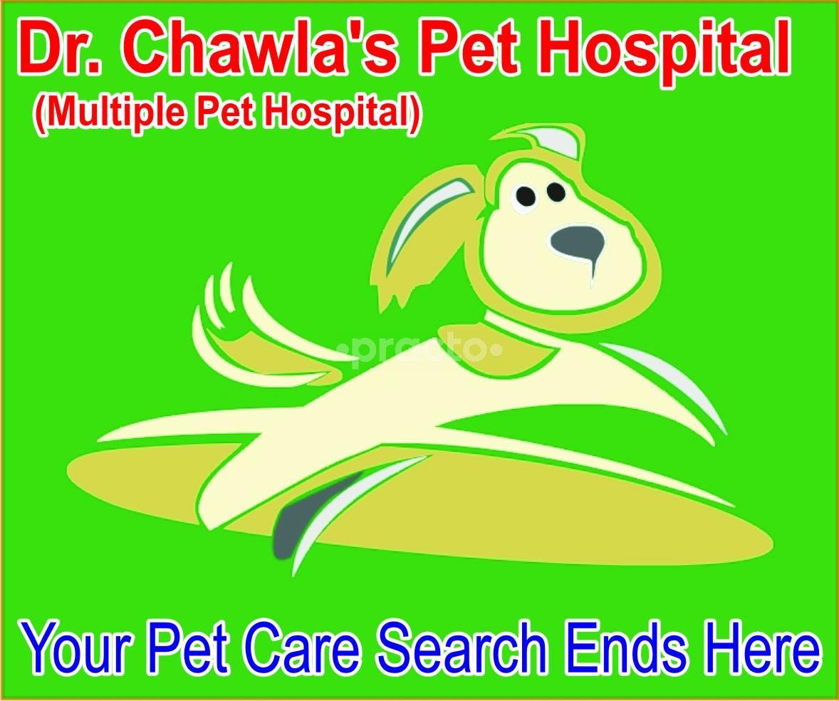 Dr. Chawla's Pet Hospital, Vaishali Nagar