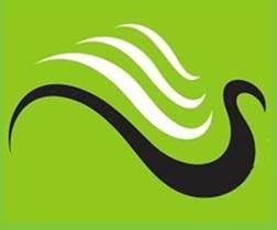 Fine Feather Dental, Gujarat University