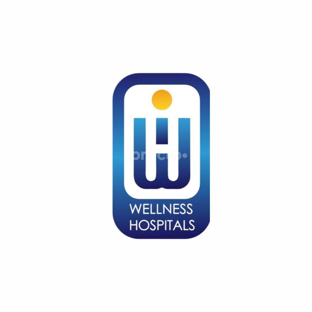 Wellness Hospitals, Ameerpet