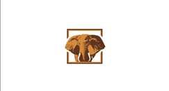 Burmese Gold Teak - Velachery